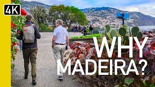 Moving to Madeira | Madeira Life Walk & Talk