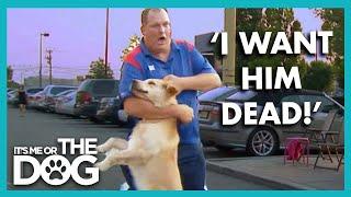 Dog has to be Saved from Violent Owner | It’s Me or The Dog