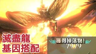 《魔物獵人物語2: 破滅之翼 MHS2》 │ 滅盡龍基因搭配 傷害爆炸又靈活! 3猜合擊流滅盡龍!! │ 捕蟲少年