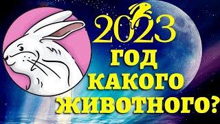 ГОД КАКОГО ЖИВОТНОГО 2023 по восточному календарю? 2023 год кого? Гороскоп на будущий год