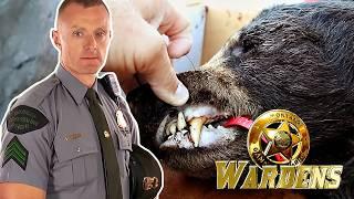 Wardens: Three Stories, One Bear & Elevated Charges | FD Real