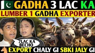 PAKI GADHA 3 LAKH KA-LUMBER 1 GADHA EXPORTER-EXPORT CHALY GE SBKI JALU GE- PUBLIC REACTION