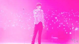 190713_박효신_Wonderland(원더랜드)_Park Hyo Shin LIVE 2019 LOVERS_막콘