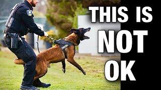 Police Attack Dogs Exposed and How We Got Here