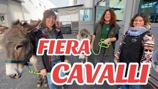 FIERA CAVALLI 2024 Verona fiere