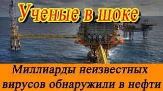 Ученые в шоке: миллиарды неизвестных вирусов обнаружили в нефти