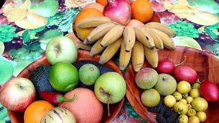 Autumn FRUIT FORAGING From Our Tropical Garden 