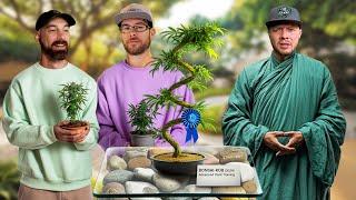 Pro Training Tips To Increase Cannabis Plant Yields | From The Stash: Highly Educational Ep. 15