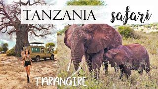 5 days SAFARI in TANZANIA  | TARANGIRE National Park