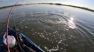 Incredible Catches of Specks and Redfish on the Gulfcoast (Sabine Lake, East of Galveston)#redfish