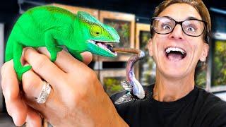 I've Never Seen Her So Excited For A NEW Animal!