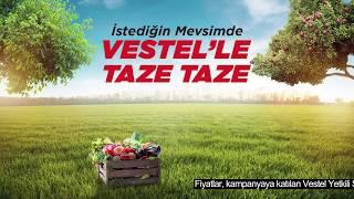 Vestel Derin Dondurucular ile İstediğiniz Mevsimde Tazelik Evinizde!