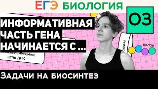 #3 Информативная часть гена начинается с | Задачи 27 на синтез белка | ЕГЭ Биология