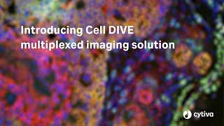 Cell DIVE multiplexed imaging solution - Cytiva