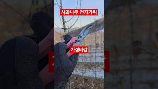 사과나무 전지 전정 가지치기 가위 아로스 전지가위 가성비갑 #shorts