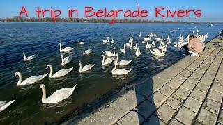 A day in Belgrade - Danube and Sava rivers