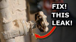 How To Fix Leaking Shut Off Valve FAST DIY - Avoid Plumber in 2023