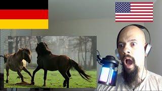 American Reacts To Germany Die Letzten Europas   Wildpferde im Münsterland | Germany Video