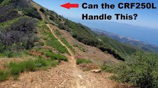 CRF250L - Can it Handle Single Track & Hillclimbs?