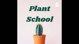 Why I Started Plant School Podcast | Ep. 131