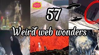 weird web wonders 57