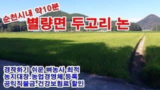 순천시 농지 1억2천만원 / 별량면 두고리, 척동마을 앞 경지정리 논 2,468㎡(약746)