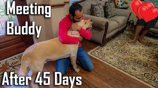 Meeting my Dog After 1.5 Months | Most Awaited Video @ouramericandream1183