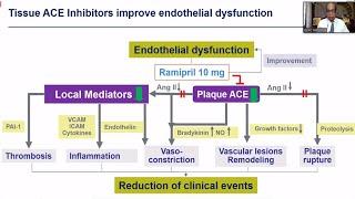 Are ARBs equivalent to ACEI in patients at risk - Dr PC Manoria