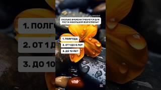 Знание и мир: Познавательные вопросы (50) #тесты #iq #узнай #интересное #викторина #эрудиция
