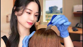 [ASMR] Doctor Annual Scalp Check