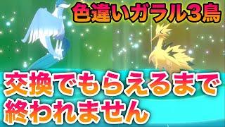 配布限定の色違いガラル3鳥を交換でもらえるまで終われません【冠の雪原/ポケモン剣盾有料DLC】