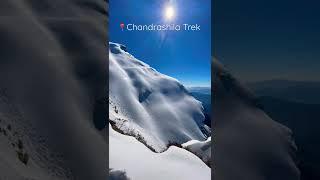 Chandrashila Trek YouTube Shorts l Tungnath Trek | Backpackers India 