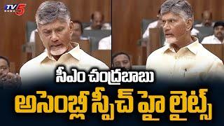 CM Chandrababu Assembly Speech Highlights | AP Assembly Budget Sessions 2024 | TV5 News