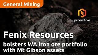 Fenix Resources bolsters WA iron ore portfolio with Mount Gibson assets