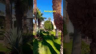 Instagram VS Reality. Sometimes it’s happens in Egypt  #travel #vacation #placestovisit #egypt