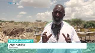 Ethiopia's Liquid Gold: One of world's largest honey producers