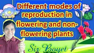 Science 5, Different Modes of reproduction in flowering and non-flowering plants.