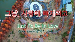 그냥, 사랑에 빠지려고(Just To Be In Love) - 담양 메타세쿼이아길의 가을 풍경