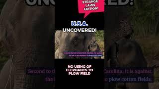 Explore USA! -  Never Frown at a Police Officer | Don't Use Elephants to Plow Cotton Fields