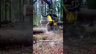 Китайцы УНИЧТОЖАЮТ СИБИРЬ ради лайков 