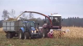 Gomstelmash Palesse 2U250A forage harvester in action