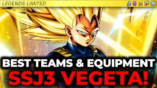 Best TEAMS & EQUIPMENTS For LL SSJ3 Vegeta! (Dragon Ball Legends)