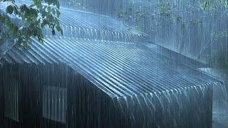 Fall Asleep Quickly with a Sudden Thunderstorm & Heavy Rain Sounds on a Corrugated Iron Roof House