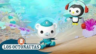 Los Octonautas Oficial en Español - Mejores Momentos Del Capitan Barnacles | Compilación