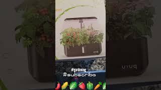 Smart Garden Hydroponics Grow System #unboxing 🫑#apartmentgarden