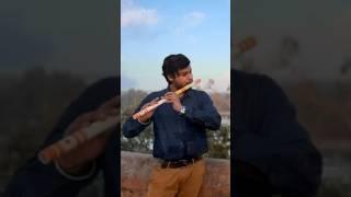 TUM Hi Ho | Flute Cover | Arijit Singh #shortsfeed #shorts #shortsviral #youtube #short #shortsvideo