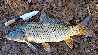 How to Catch Clean & Cook Carp - Simple Carp Recipe & Carp Fishing Tips