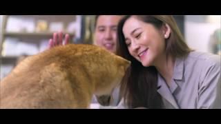 Ruff & Fetch X Japan Airlines「毛」飛想去旅行 完整版