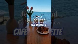 Coffee with a View 🪟 Café Antoinette, Jeju Island #shorts #cafeantoinette #jejuisland #korea