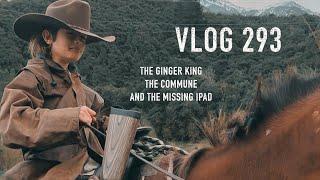 VLOG 293 the ginger king and the second hand sav public